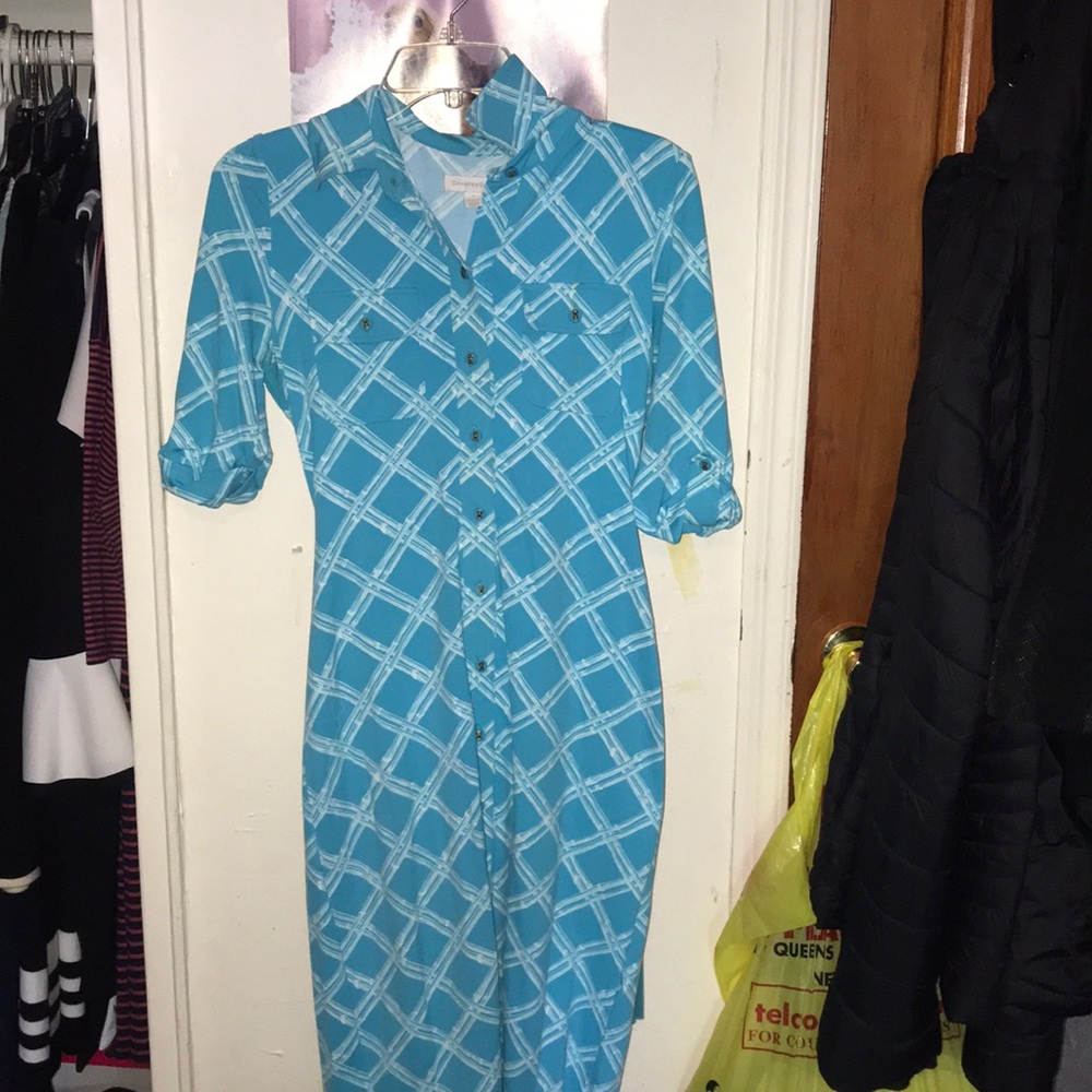 Light blue dress with bamboo pattern